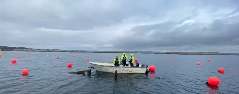 Seaweed Carbon Solutions