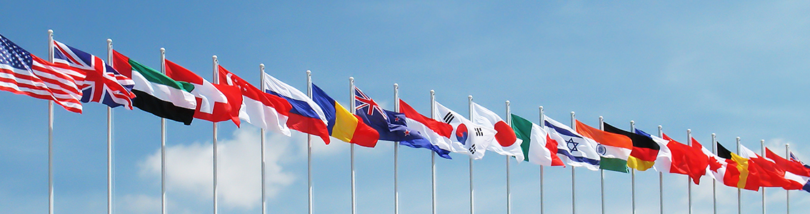 Flag state and coastal state services
