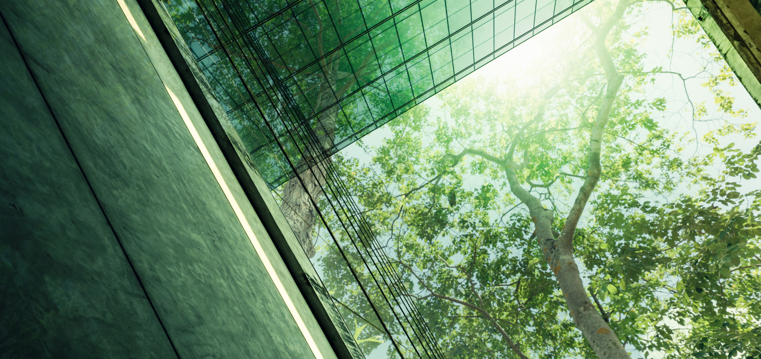 Eco-friendly building in modern city