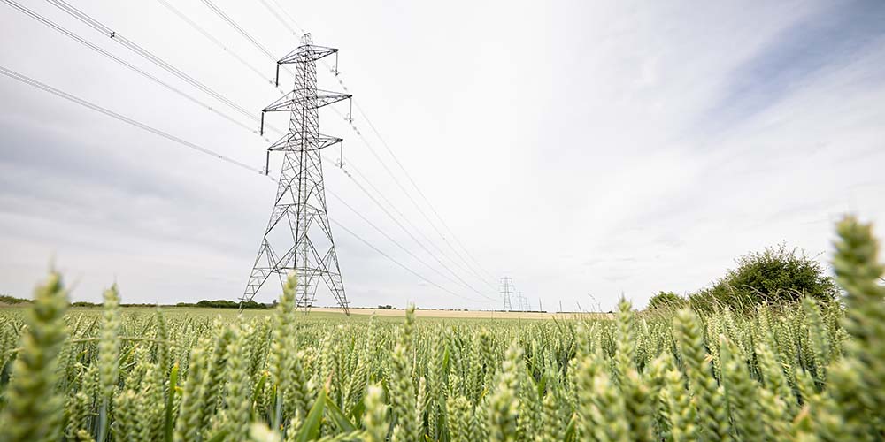 electric pylon
