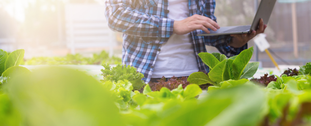 Overgang til FSSC 22000 Versjon 6