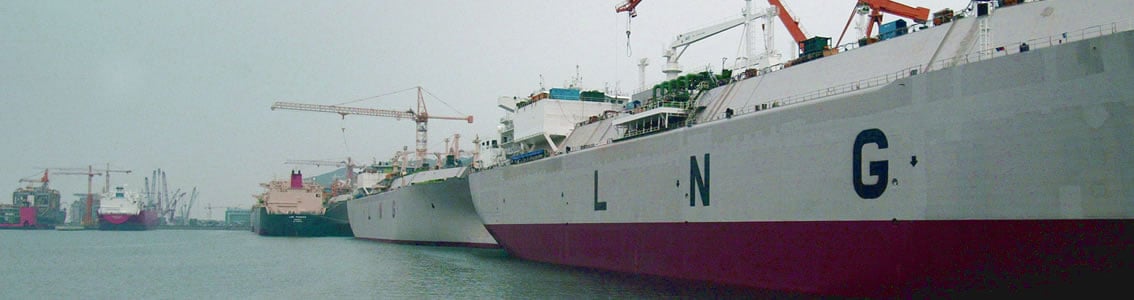 Verification of offshore and onshore LNG and gas facilities