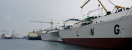 Verification of offshore and onshore LNG facilities
