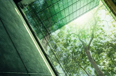 Are companies committed to sustainability?