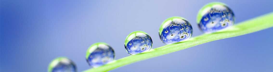 water drops
