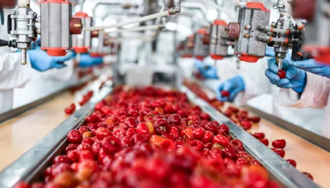 Engelsk | BRCGS Food Safety Issue 9